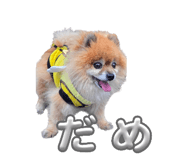 839677211