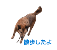 839677215