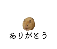 839677387