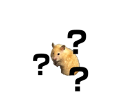 839677388