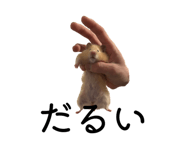 839677390