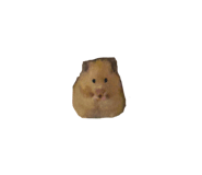 839677398