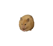 839677402