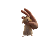 839677404