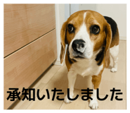 839677521