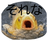 839677553