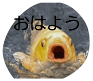 839677555