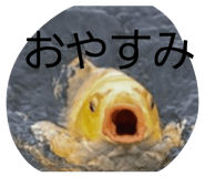 839677556