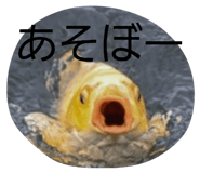 839677557
