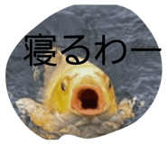 839677558