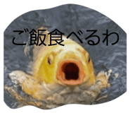839677559