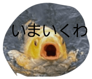 839677560