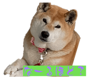 839677611