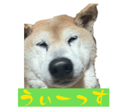 839677612