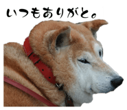 839677613