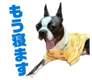 839677920