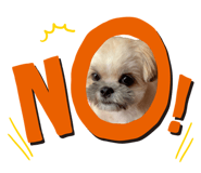 839678131