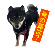 839678273