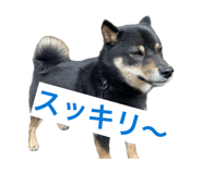 839678278