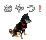 839678279