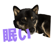 839678285