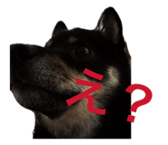 839678292