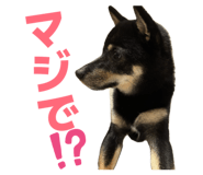 839678295