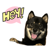 839678308