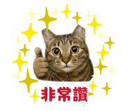 839678847