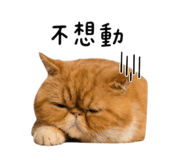 839679273