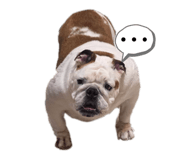 839679334