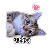 839679376