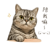 839679566