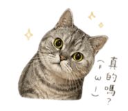 839679567