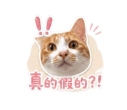 839679824