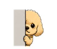 839680019
