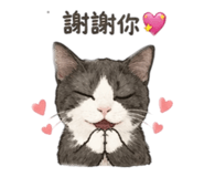 839680621