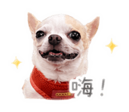 839681014