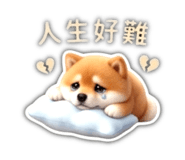 839681381