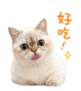 839681405