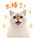 839681412
