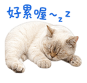 839681417