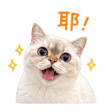 839681420