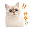 839681423