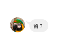 839681676
