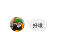 839681677