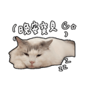 839681801