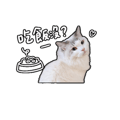 839681804