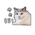 839681811
