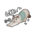 839681812